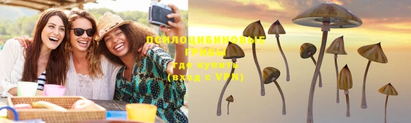 круглые Богородицк