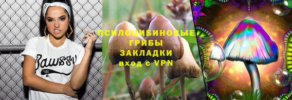 метамфетамин Богданович