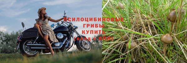 метамфетамин Богданович