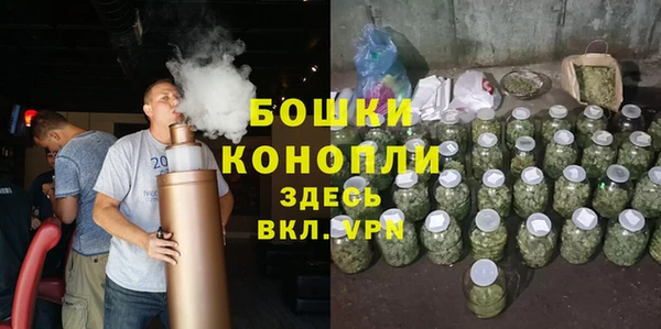 ешки Тайга