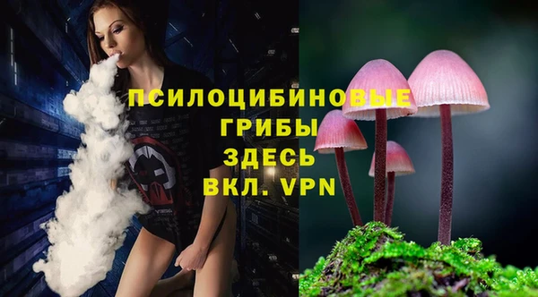 шишки Тавда
