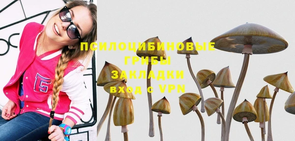 метамфетамин Богданович