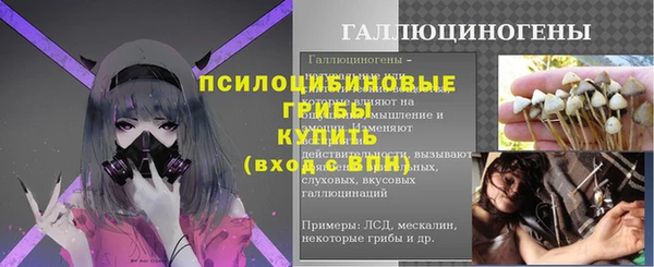 метамфетамин Богданович