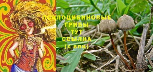 каннабис Карпинск