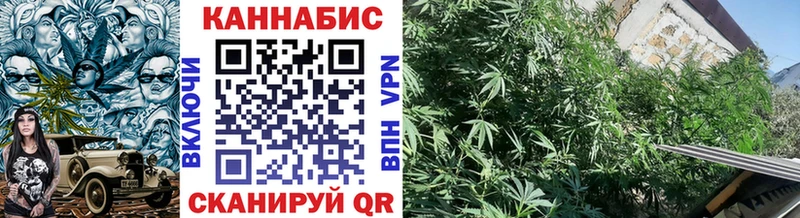 Марихуана OG Kush Новосокольники